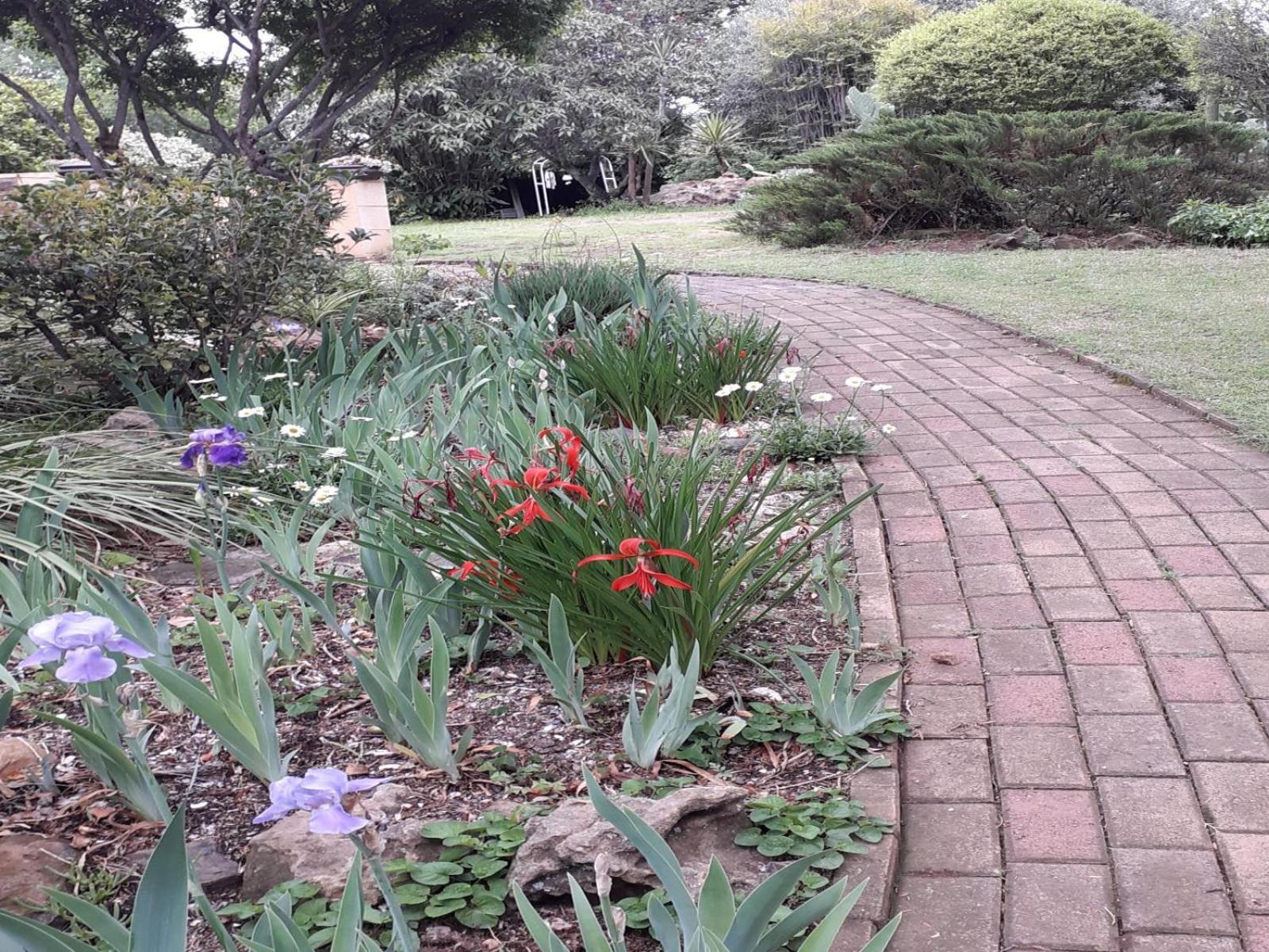 Aandrus Bnb Kestell ภายนอก รูปภาพ